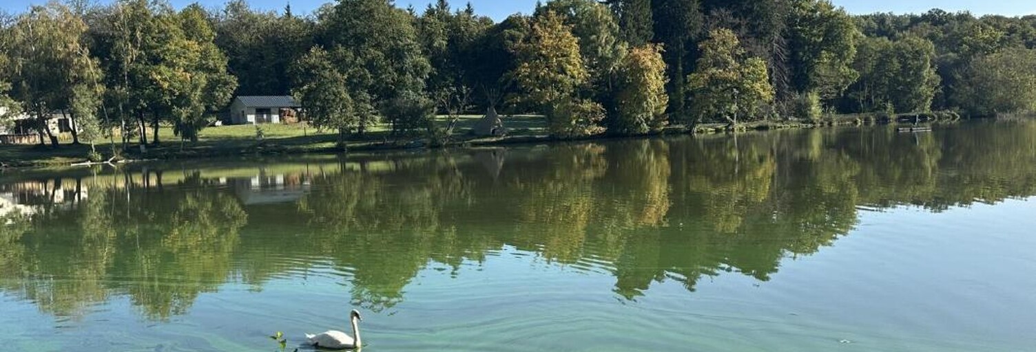 Maison 5 Pièces 172 m² à vendre à La Geneytouse (87400)