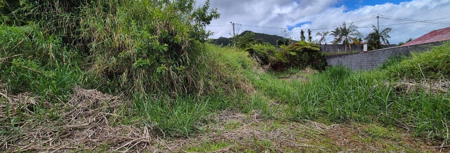 Terrain  610 m² à vendre à Saint-Louis (97421)