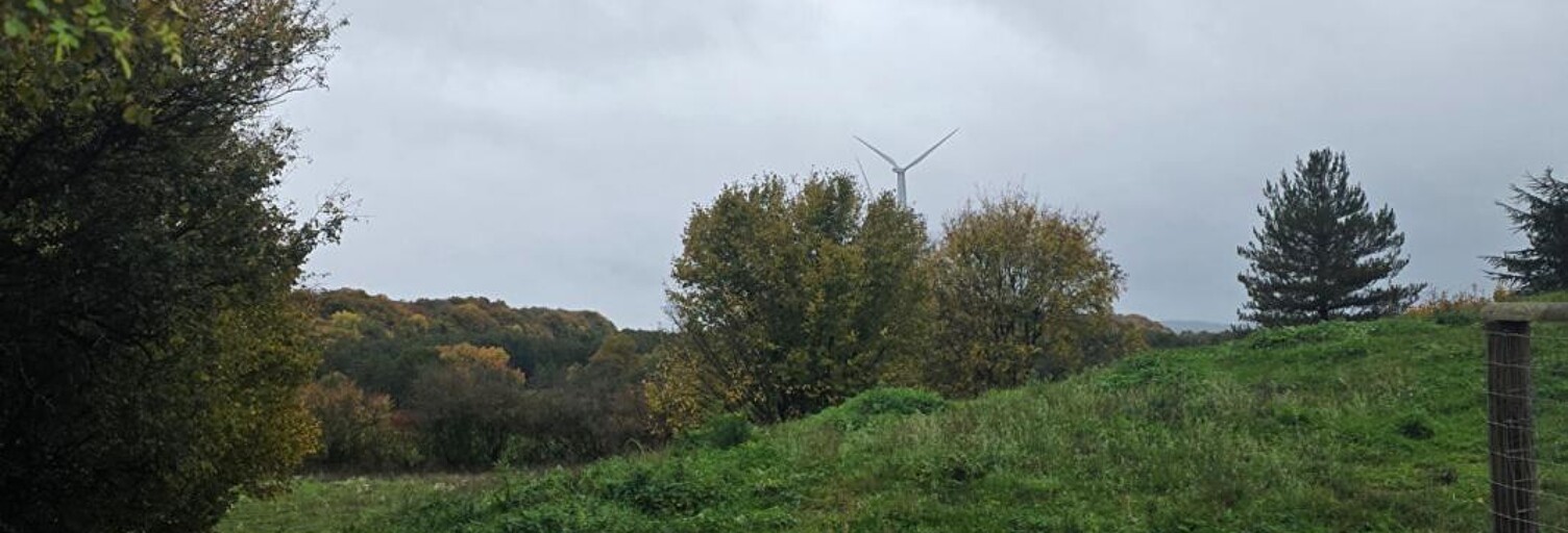 Terrain  6040 m² à vendre à Fontenelle-Montby (25340)