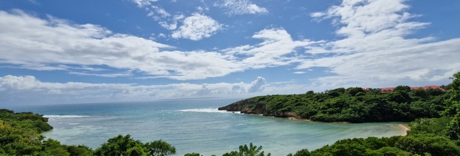 Maison 8 Pièces 350 m² à vendre à Saint-François (97118)