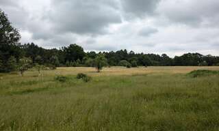 Terrain   m² à vendre à Cercoux (17270)