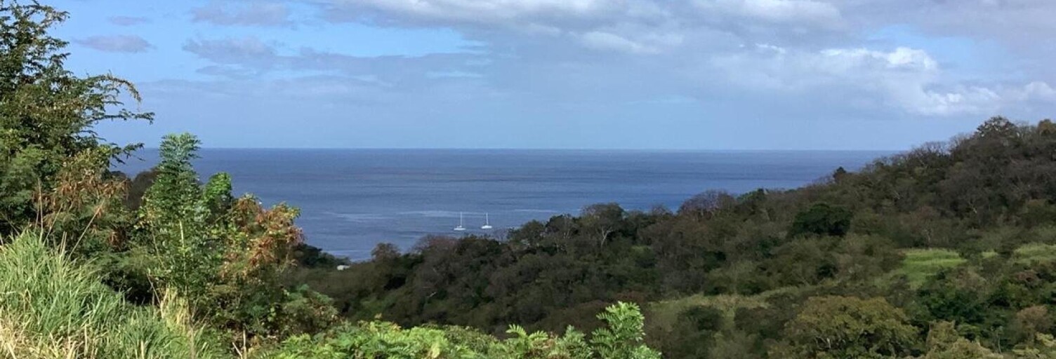 Terrain  1001 m² à vendre à Le Carbet (97221)