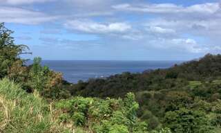 Terrain  1001 m² à vendre à Le Carbet (97221)