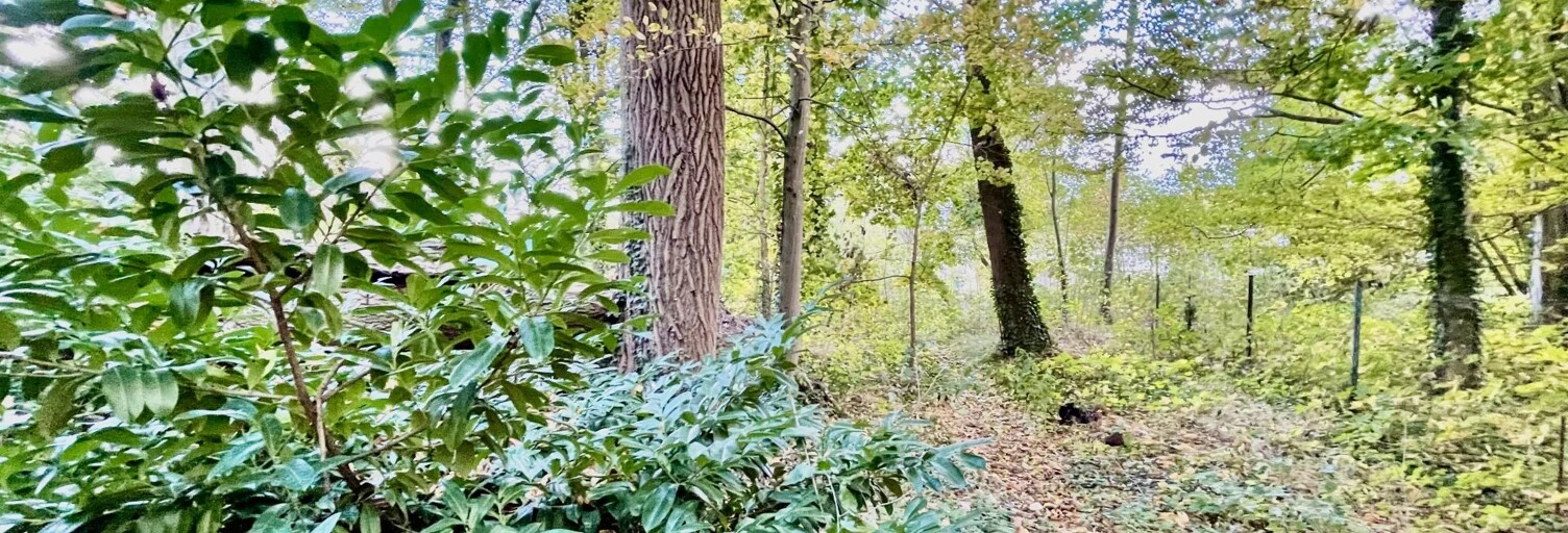 Maison 4 Pièces 105 m² à vendre à Pinon (02320)