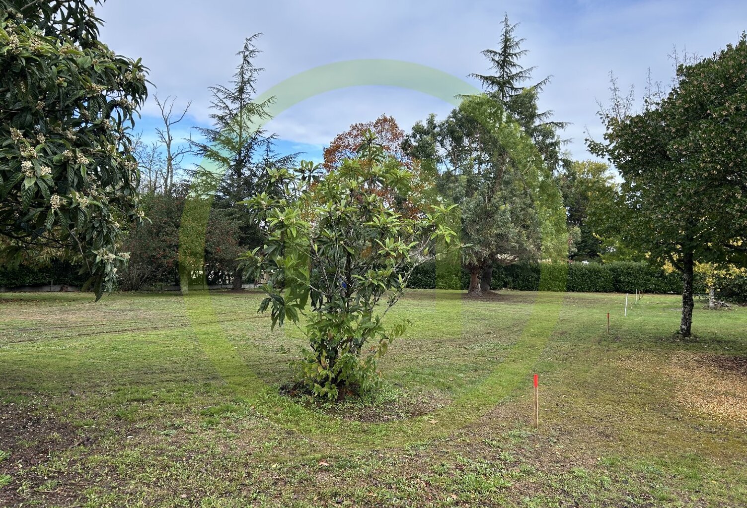 Terrain — photo 1