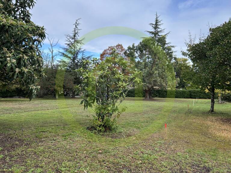 Terrain — photo 1