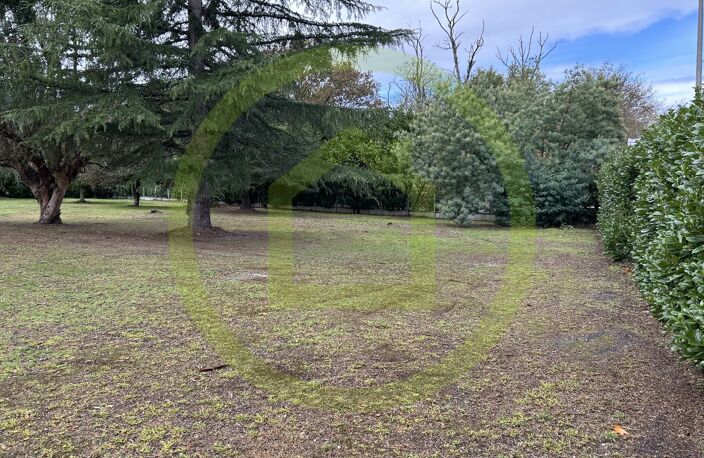 Terrain — photo 2