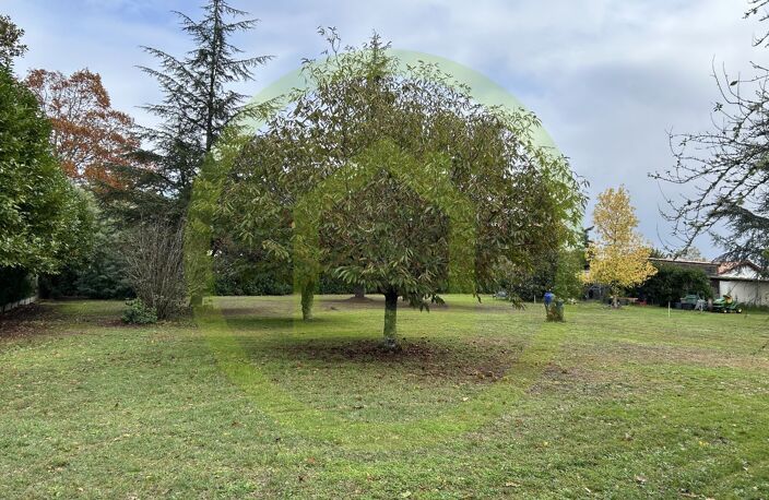 Terrain — photo 3
