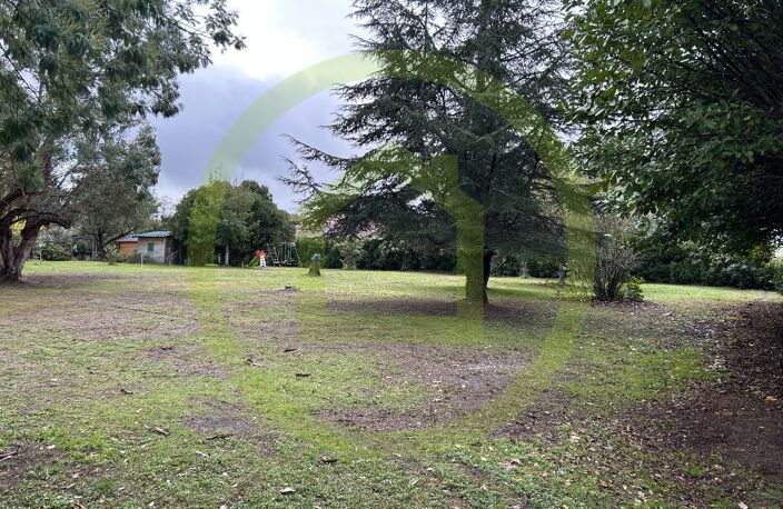 Terrain — photo 4