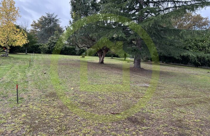 Terrain — photo 5