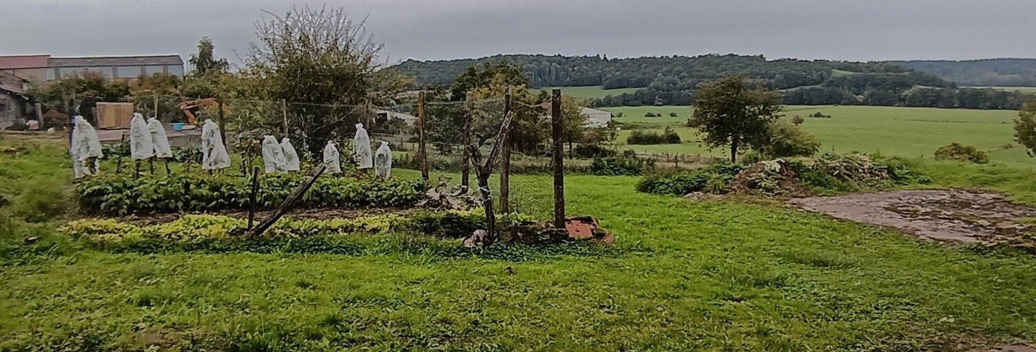 Maison 6 Pièces 150 m² à vendre à Tollaincourt (88320)