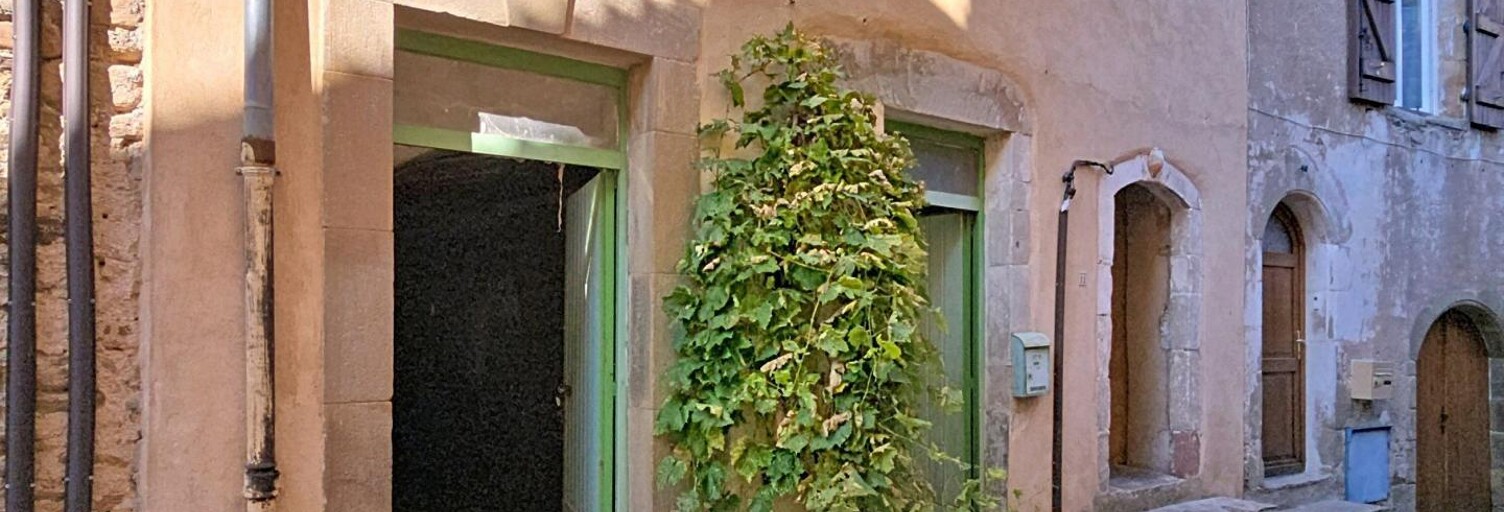 Maison 8 Pièces 159 m² à vendre à Saint-Gervais-sur-Mare (34610)