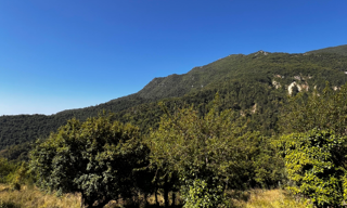 Terrain 6000 m² à construire Castillon (06500)