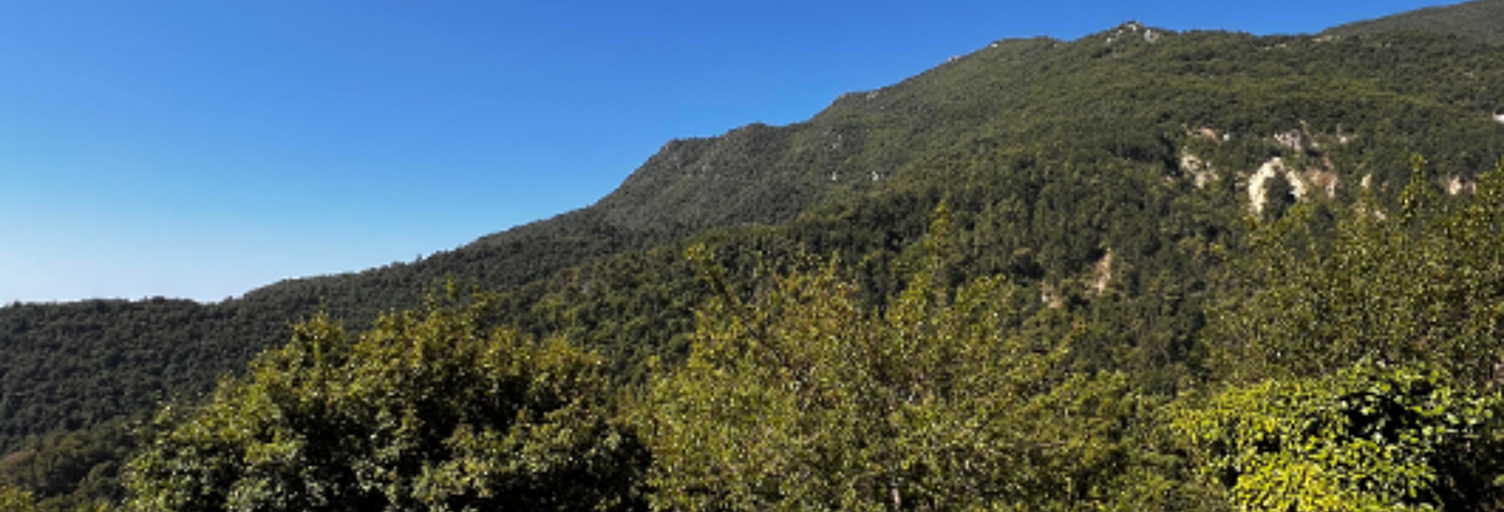 Terrain 6000 m² à construire Castillon (06500)