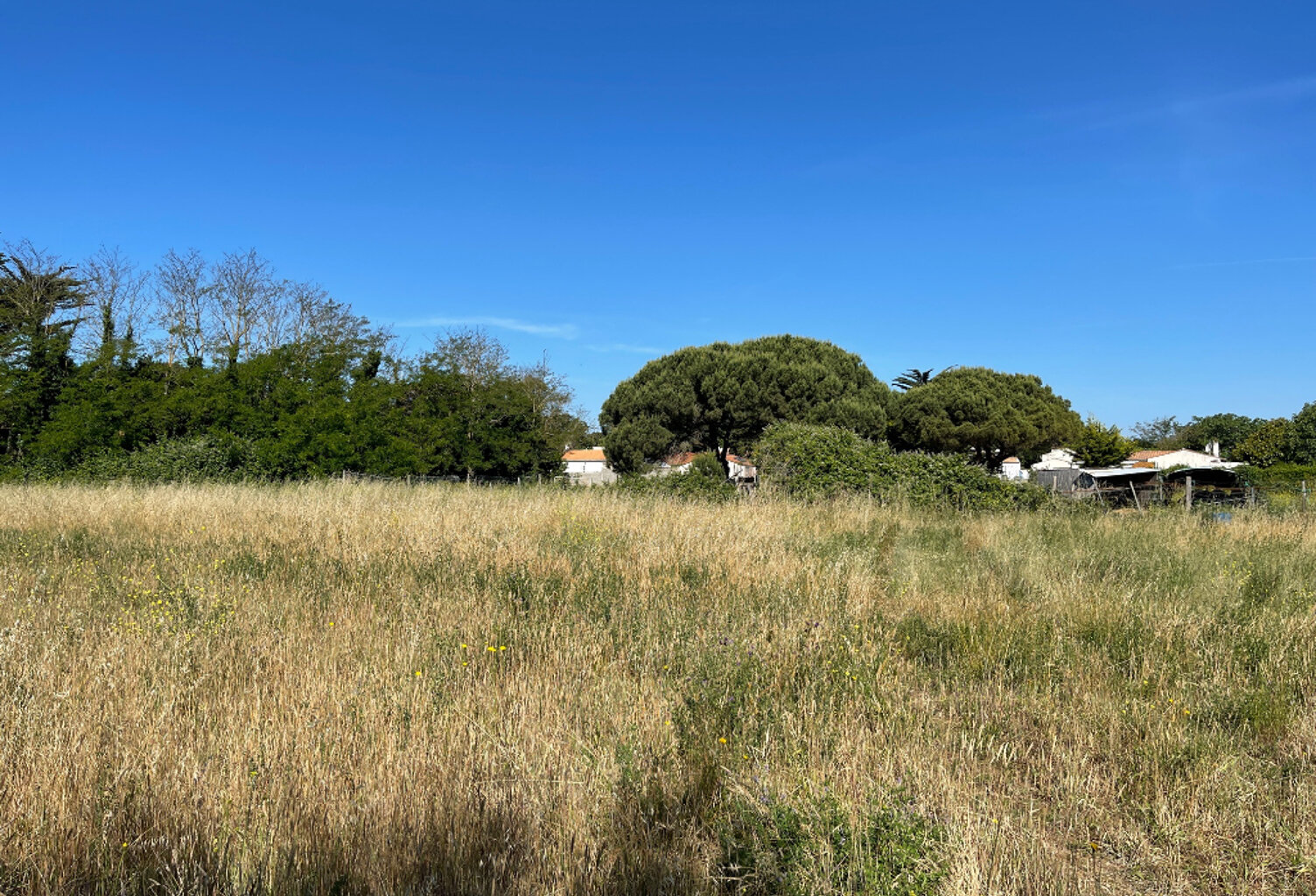 Terrain à bâtir Saint Pierre d Oleron de 908 m² — photo 1