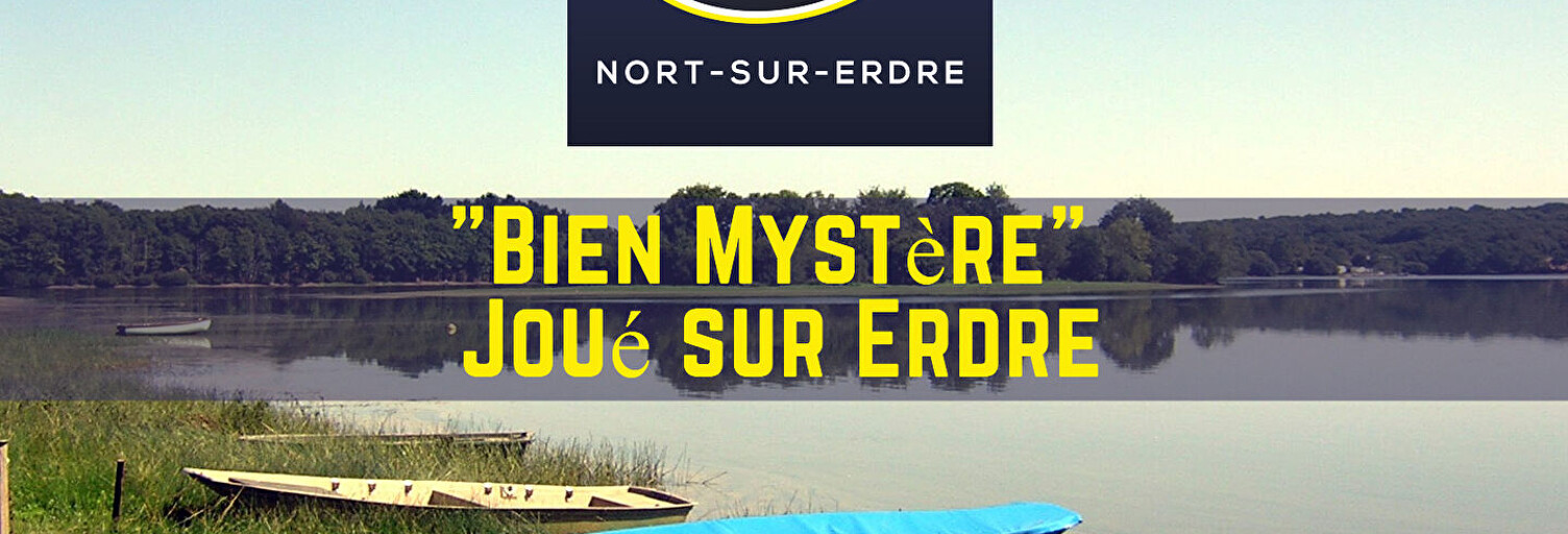 Maison 8 Pièces 174 m² à vendre à Joué-sur-Erdre (44440)