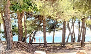 Appartement 3 Pièces 50 m² à vendre à La Londe-les-Maures (83250)