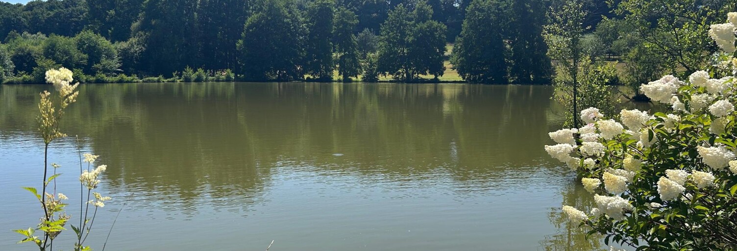 Maison 7 Pièces 371 m² à vendre à Tourouvre au Perche (61190)