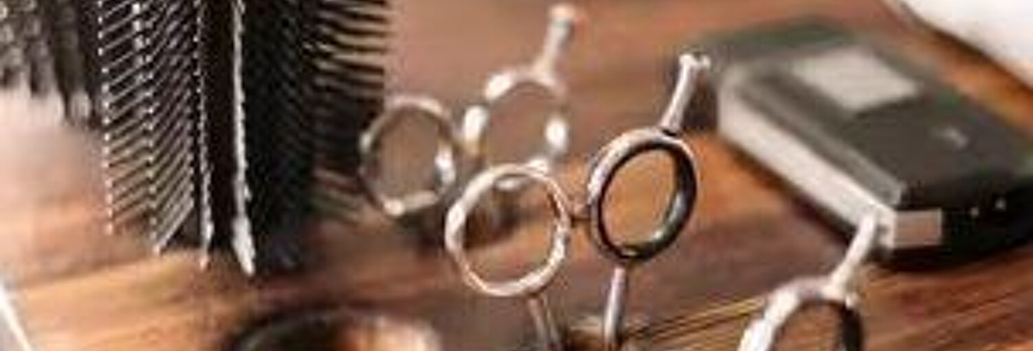 Commerce  28 m² à vendre à La Roche-sur-Foron (74800)