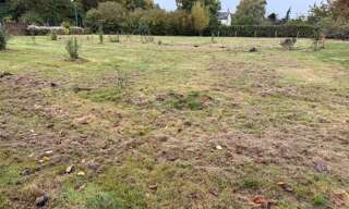 Terrain  600 m² à vendre à Angrie (49440)