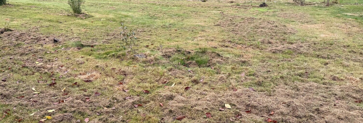 Terrain  600 m² à vendre à Angrie (49440)