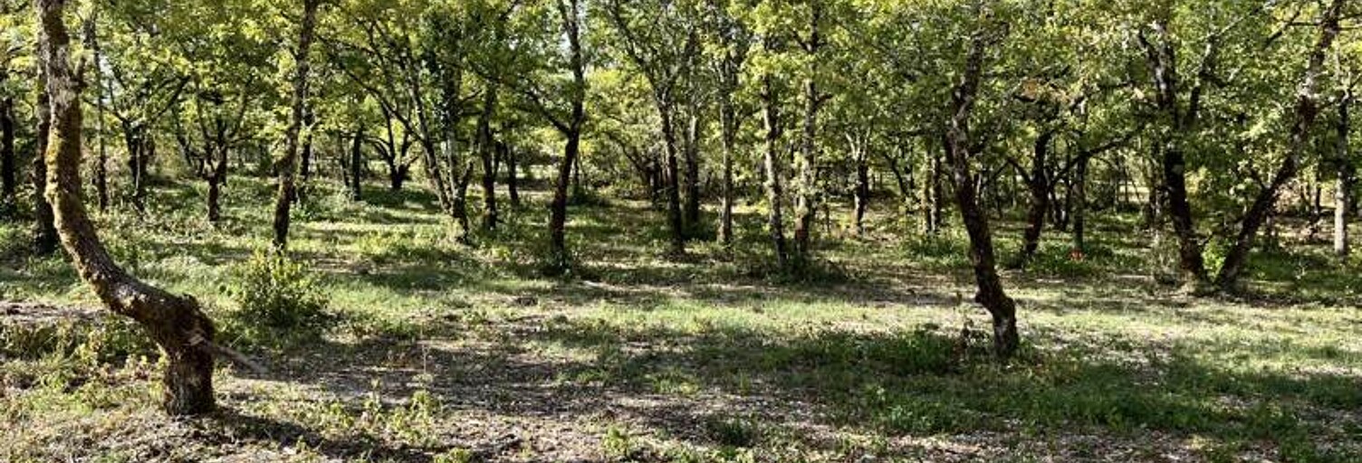 Terrain  747 m² à vendre à Lalbenque (46230)