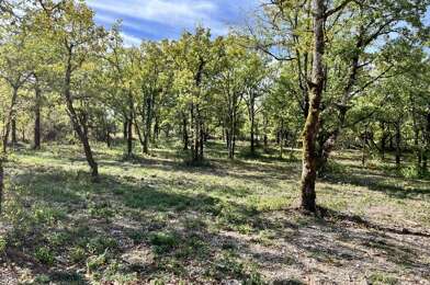 Terrain  53000 €