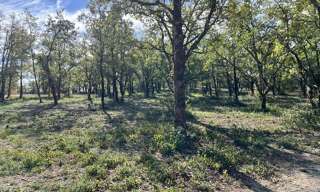 Terrain  813 m² à vendre à Lalbenque (46230)