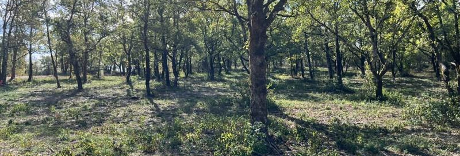 Terrain  813 m² à vendre à Lalbenque (46230)