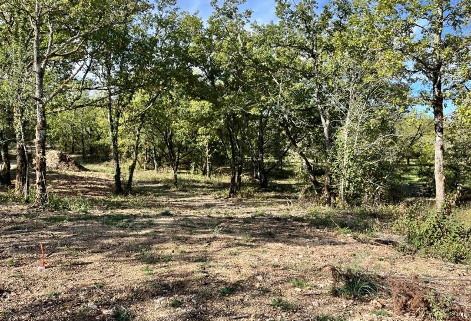Terrain à bâtir de 0 pièces principales — photo 1