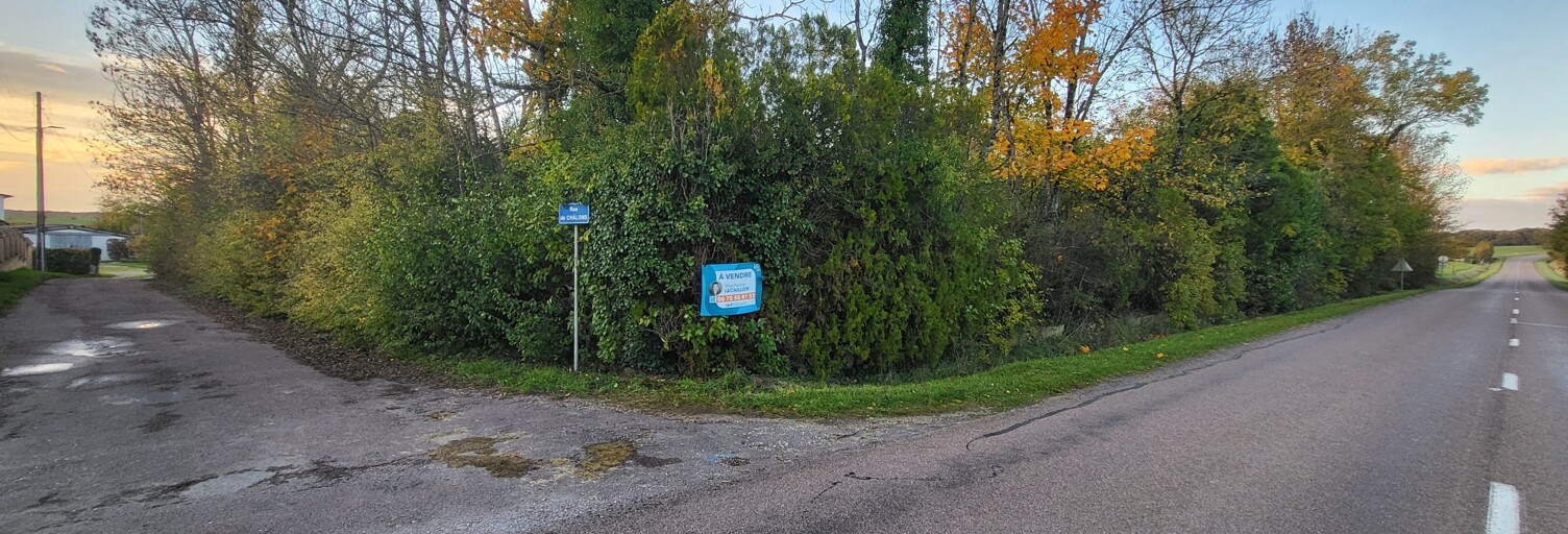 Terrain  5466 m² à vendre à Vendeuvre-sur-Barse (10140)