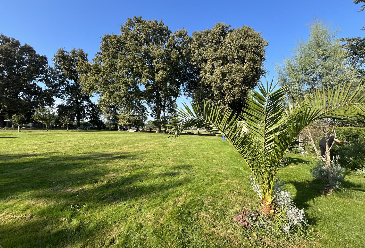 SUD DE TARBES - Environnement privilegié calme et verdoyant — photo 1