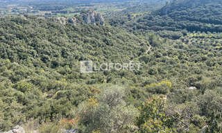 Terrain  11260 m² à vendre à Saint-Bonnet-du-Gard (30210)