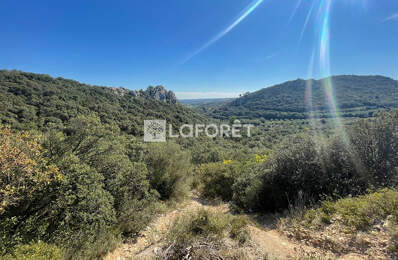 Terrain Saint-Bonnet-du-Gard 11260 m² — photo du bien
