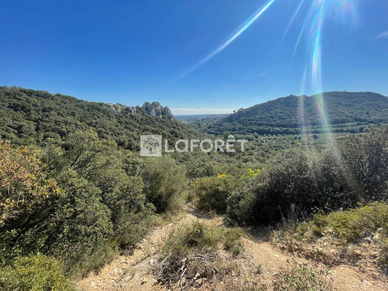 Terrain Saint-Bonnet-du-Gard 11260 m² — photo 1
