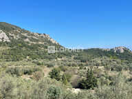 Terrain Saint-Bonnet-du-Gard 11260 m² — photo 3