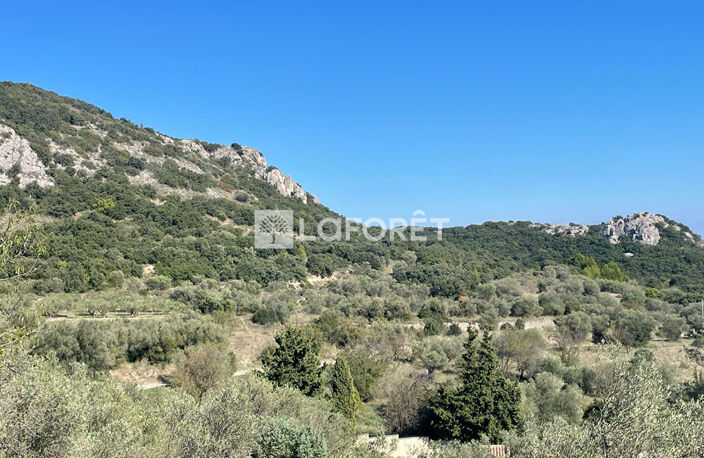 Terrain Saint-Bonnet-du-Gard 11260 m² — photo 3