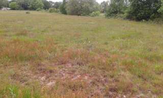 Terrain  655 m² à vendre à Cubzac-les-Ponts (33240)