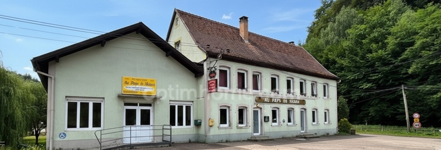 Maison 12 Pièces 307 m² à vendre à Philippsbourg (57230)