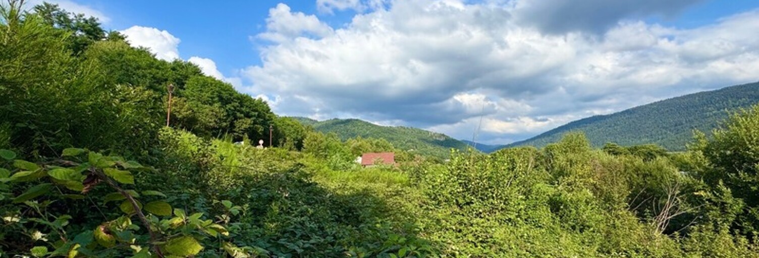 Terrain  961 m² à vendre à Saulxures-sur-Moselotte (88290)