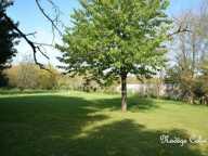 Terrain paysager constructible - Magny Les Hameaux — photo 2