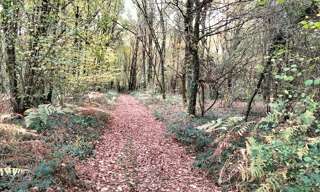 Terrain  18490 m² à vendre à Vouillé (86190)