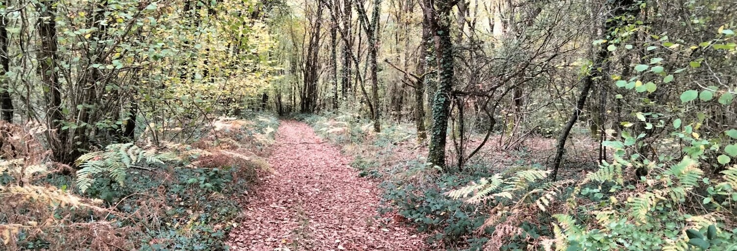 Terrain  18490 m² à vendre à Vouillé (86190)