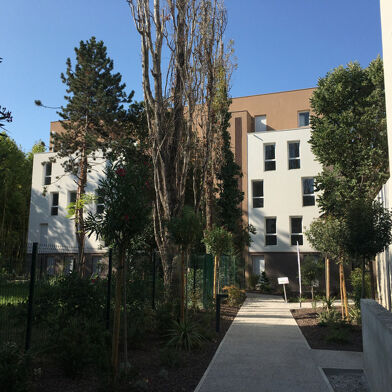 Appartement 3 pièces 884 €