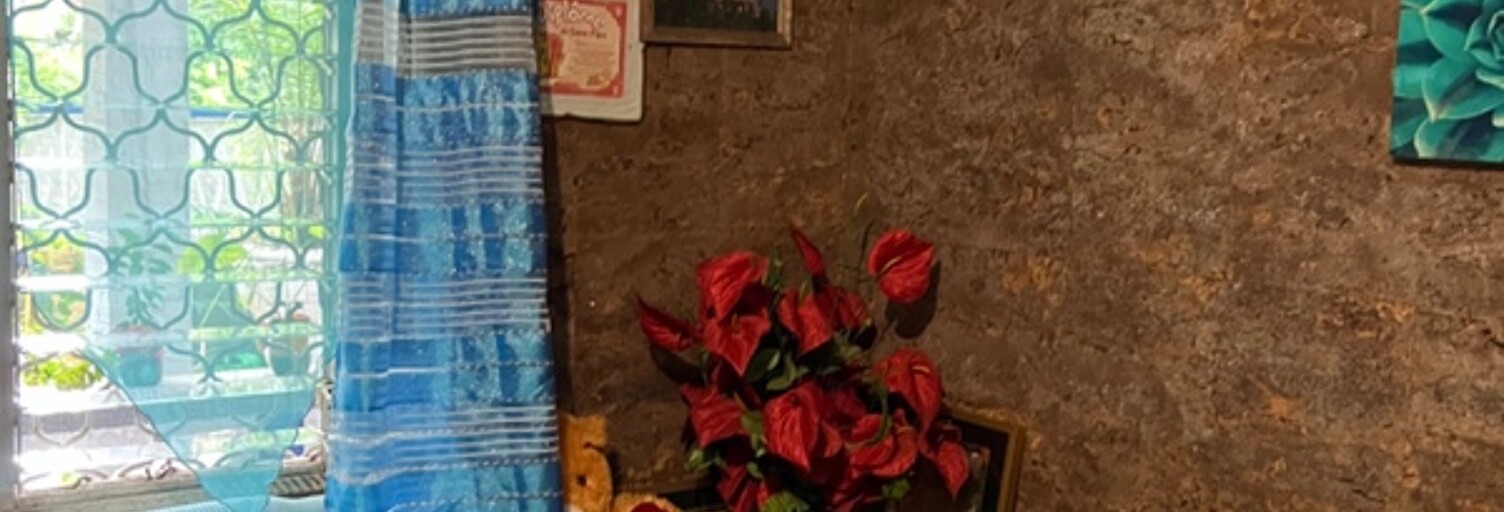 Maison 4 Pièces 80 m² à vendre à Kourou (97310)