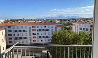 Appartement 1 Pièce 31 m² à louer à Perpignan (66000)