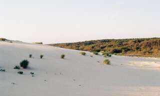 Terrain  444 m² à vendre à Saint-Julien-en-Born (40170)