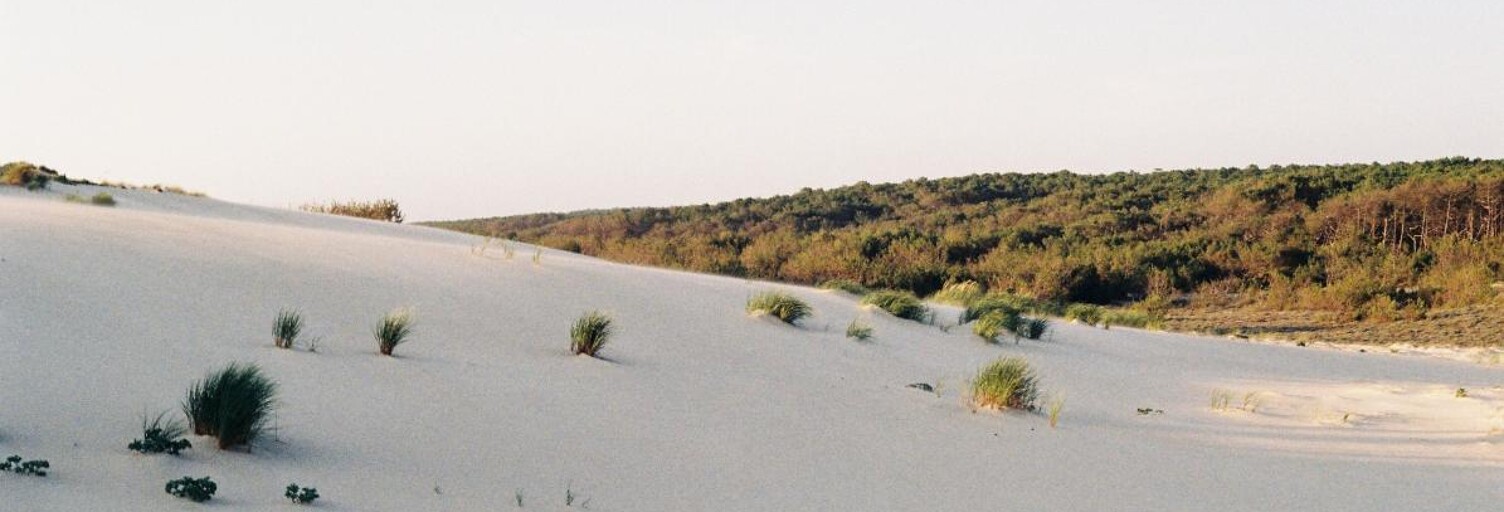 Terrain  444 m² à vendre à Saint-Julien-en-Born (40170)