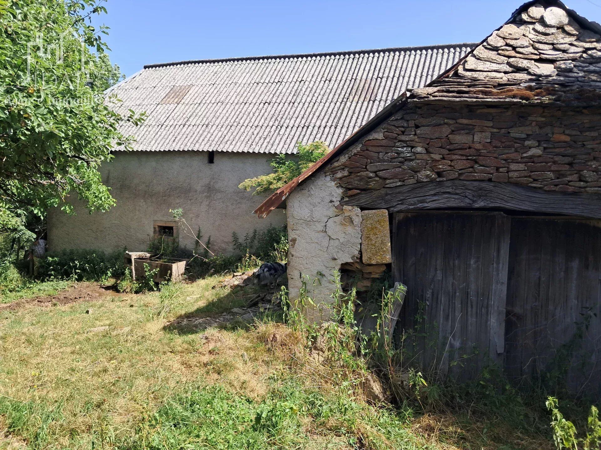 Photo Exclusivité - maison de caractère + grange - coeur de l'aubrac, village authentique image 3/4