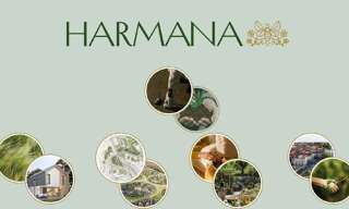 Terrain  585 m² à vendre à Dax (40100)